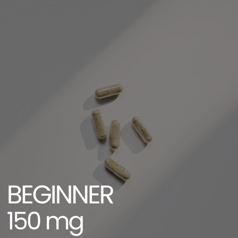 Beginner
