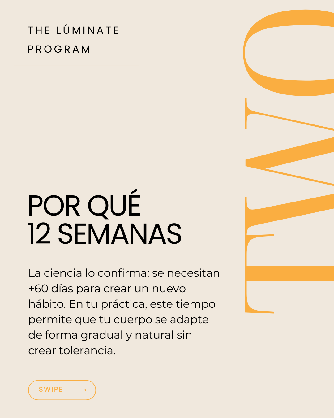 Ingredientes (83)