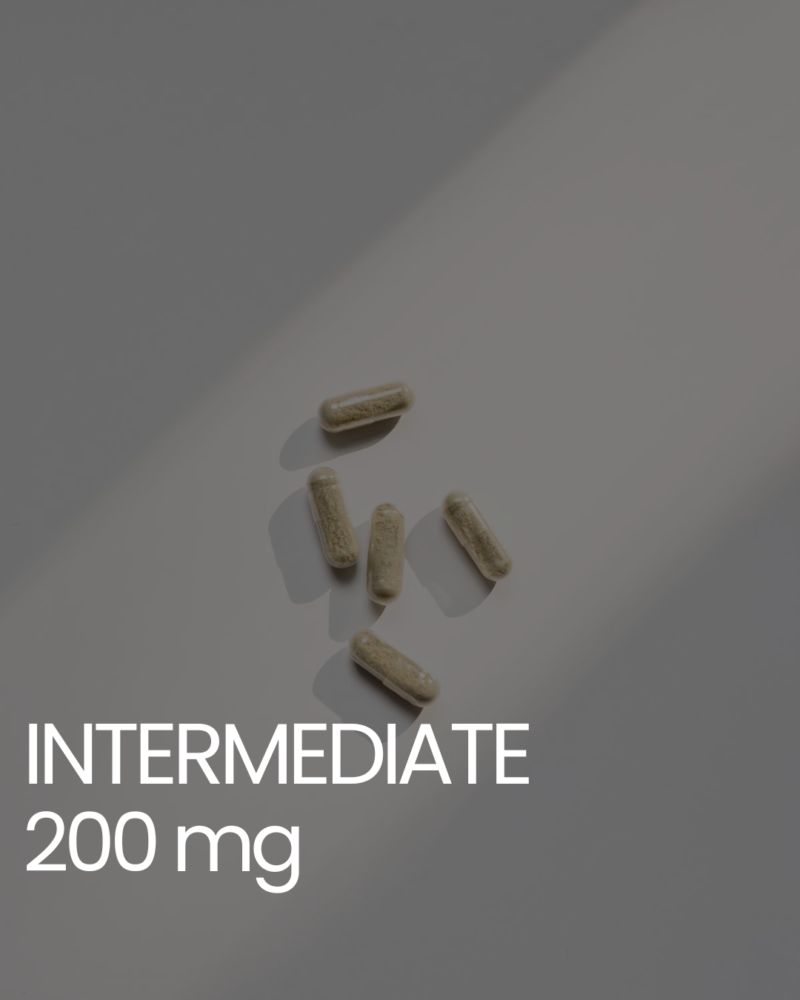 Intermediate