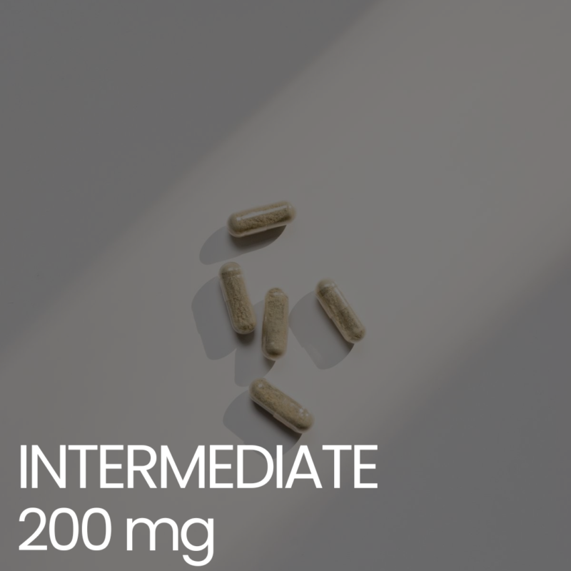 Intermediate