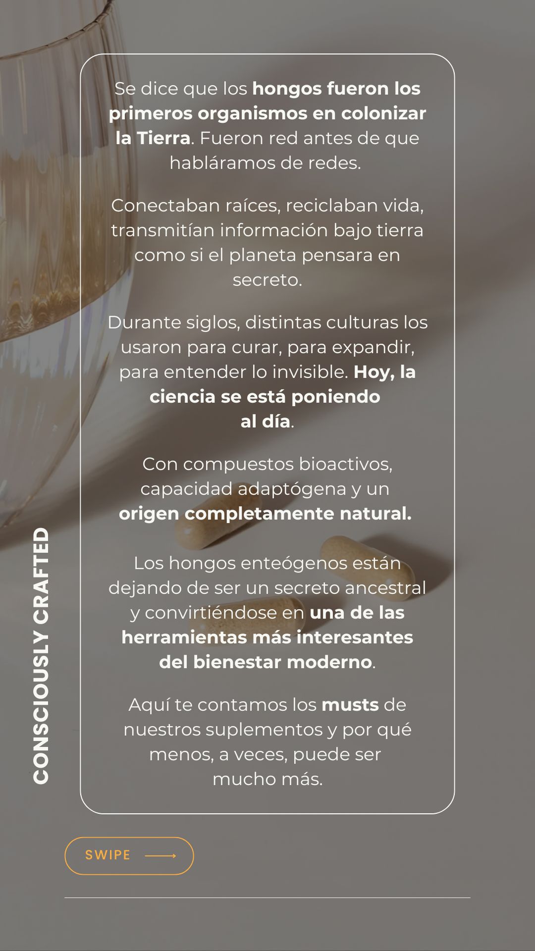 PERFILES M.EXPERTS (1080 x 2100 px) (Fondo de pantalla para teléfono) (6)