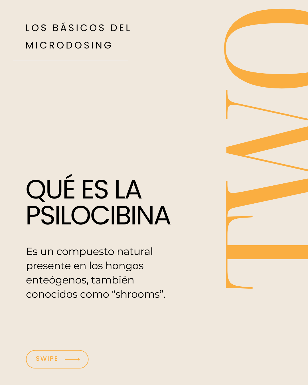 SUBTEMAS HOME COACHING + (44)