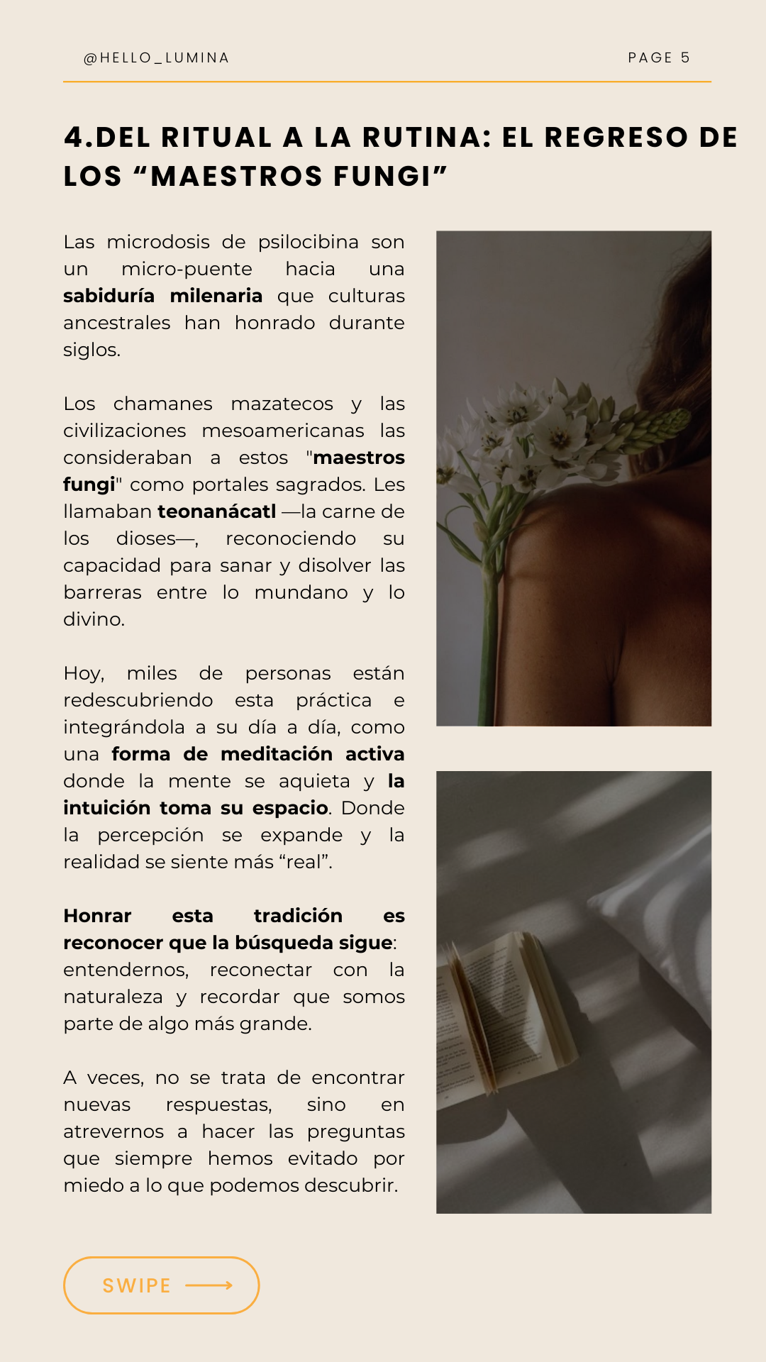beneficios 5 razones (Fondo de pantalla para teléfono) (27)