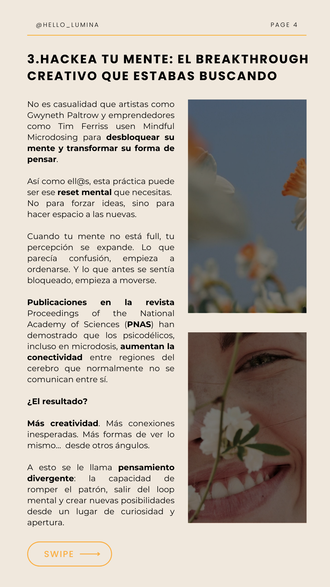 beneficios 5 razones (Fondo de pantalla para teléfono) (34)