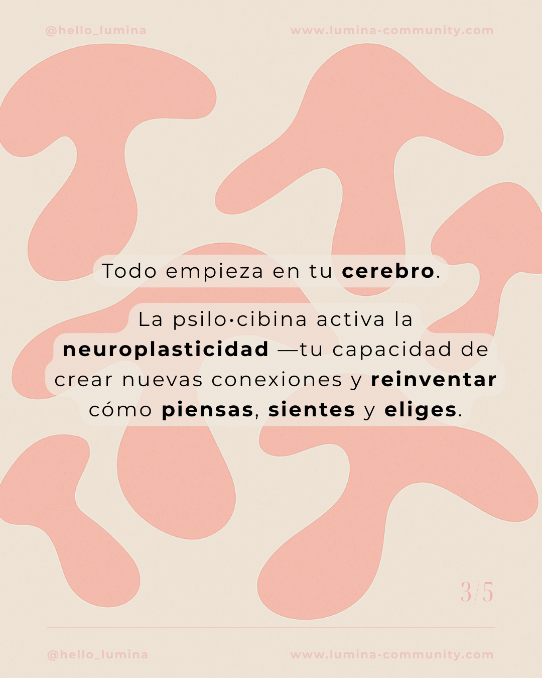 Post de instagram paso a paso motivación moderno elegante gris (Post para Instagram (45)) (53)