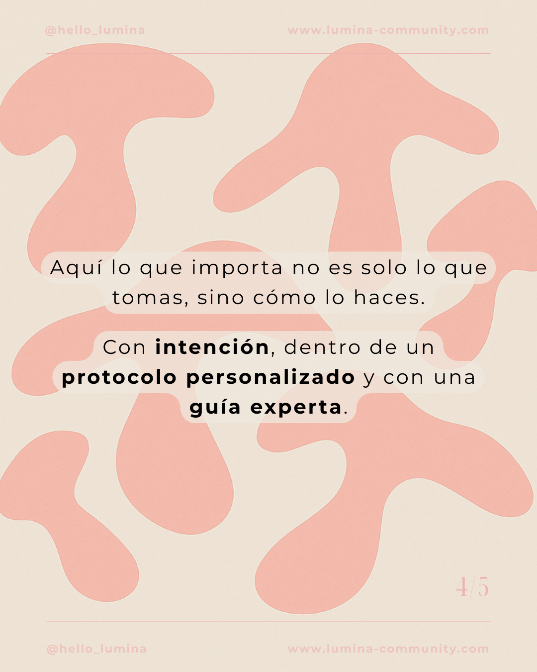 Post de instagram paso a paso motivación moderno elegante gris (Post para Instagram (45)) (55)