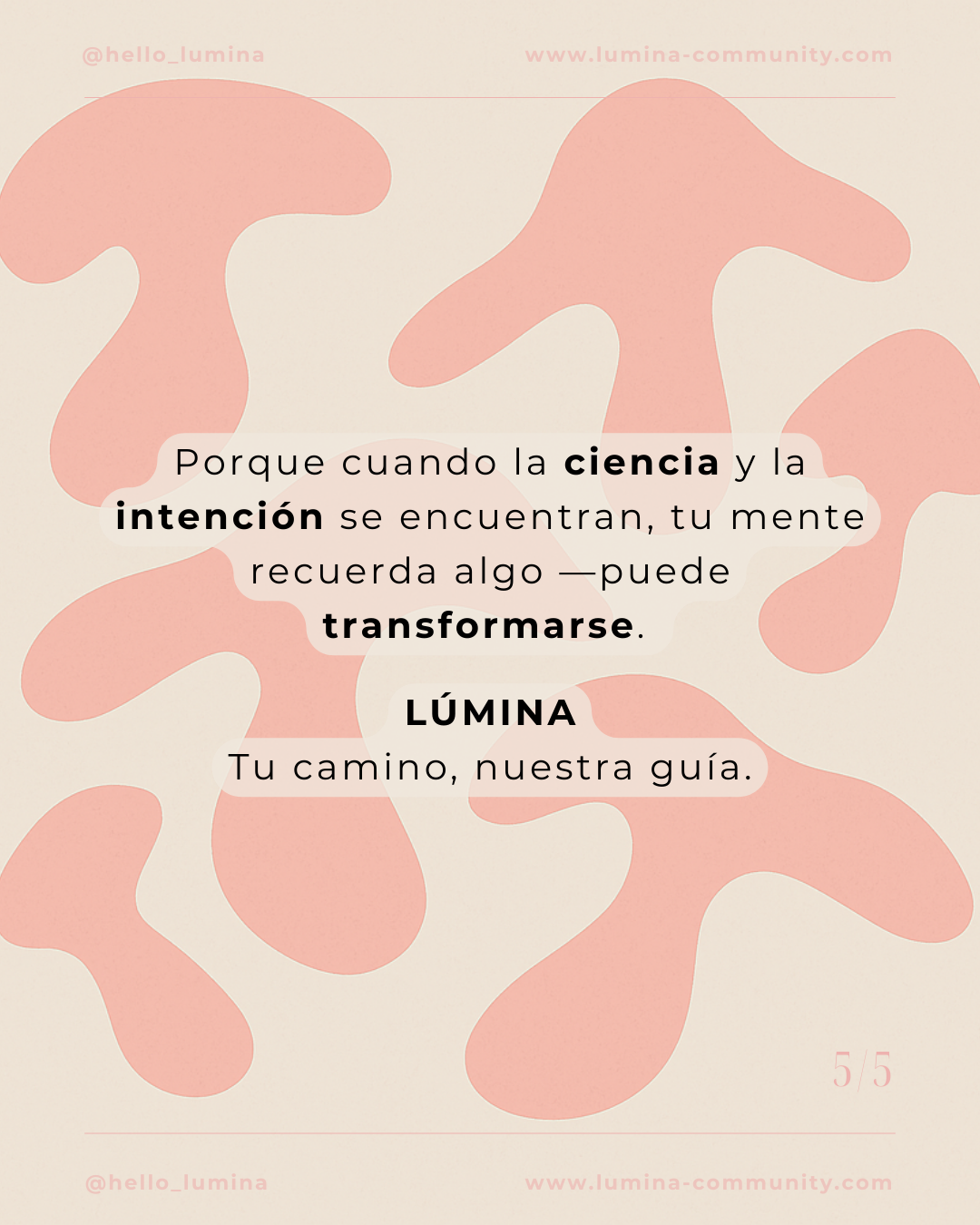 Post de instagram paso a paso motivación moderno elegante gris (Post para Instagram (45)) (56)