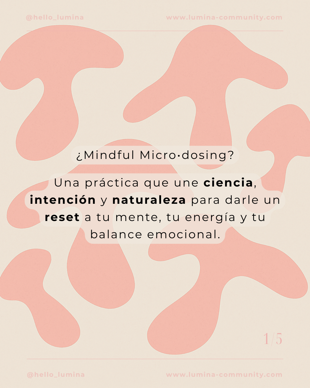 Post de instagram paso a paso motivación moderno elegante gris (Post para Instagram (45)) (57)